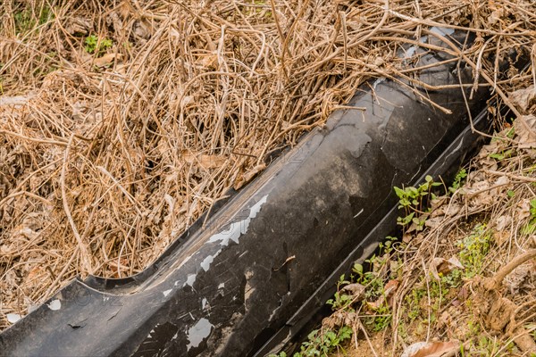 A worn discarded tire lies amidst dry vegetation, in South Korea