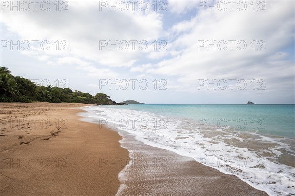 Lonely, wide sandy beach with turquoise-coloured sea. Tropical plants in a bay in the Caribbean sunshine. Plage de Cluny, Basse Terre, Guadeloupe, French Antilles, North America