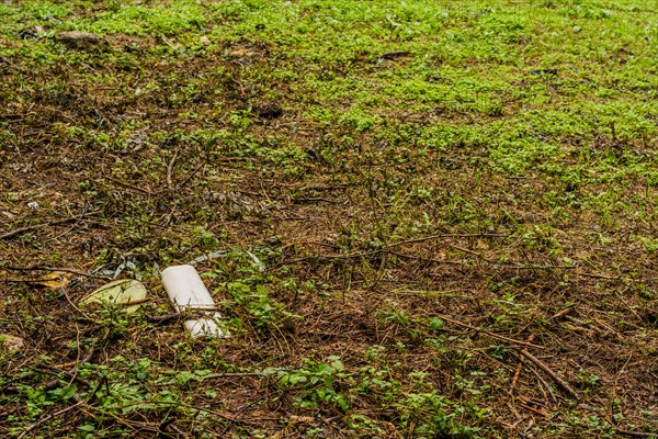 A discarded plastic bottle on the ground highlights an environmental pollution issue, in South Korea