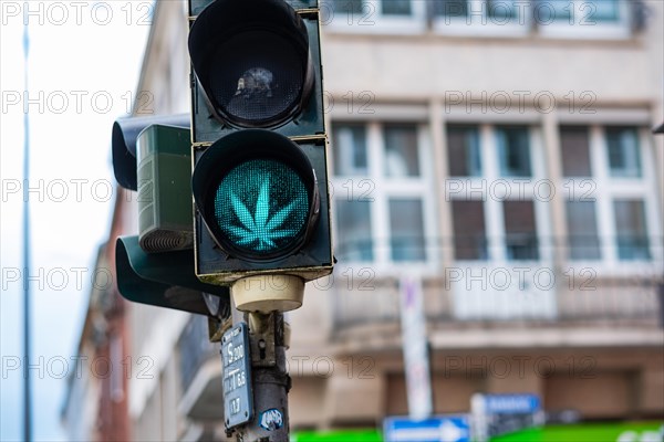 Traffic lights with cannabis leaf and right of way sign in Aachen, Germany, Europe