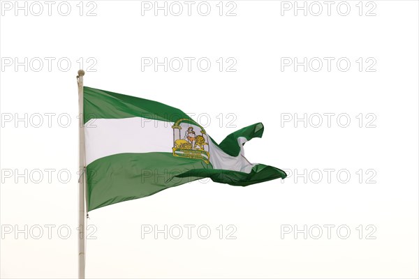 The green and white Andalusian flag, featuring the emblem of Hercules and two lions, is captured as it waves in the breeze under the bright midday sky. There is no other object in the view, highlighting the flags details and colors