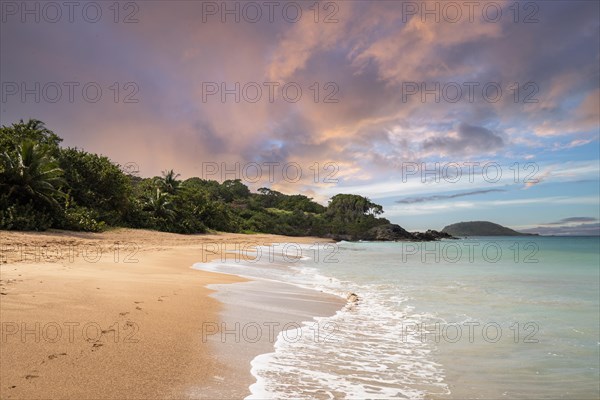Lonely, wide sandy beach with turquoise-coloured sea. Tropical plants in a bay at sunset in the Caribbean. Plage de Cluny, Basse Terre, Guadeloupe, French Antilles, North America