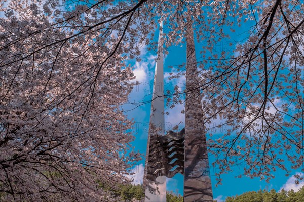 Two tall metal columns of memorial seen through cherry blossom tree branches against beautiful blue sky near Daejeon, South Korea, Asia