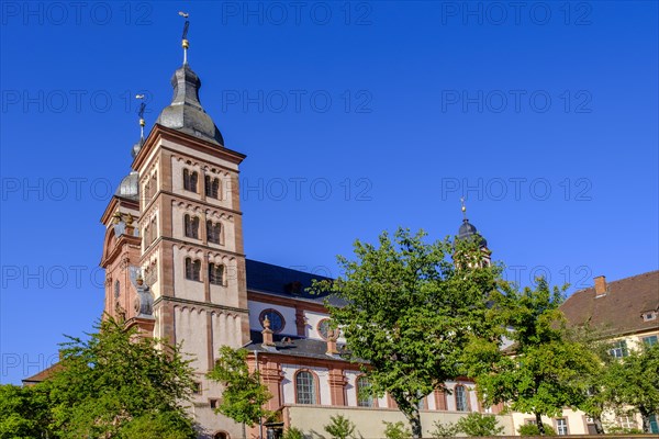 Monastery church, abbey church, Amorbach Monastery, Mainfranken, Lower Franconia, Franconia, Bavaria, Germany, Europe