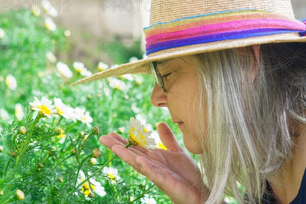 Mature woman with white hair and hat seen in profile smelling a beautiful daisy in her hands with a meadow with flowers in the background