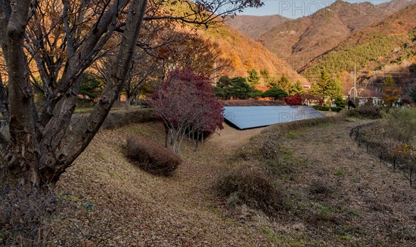 Solar panels on ground in countryside park with mountains in background in South Korea