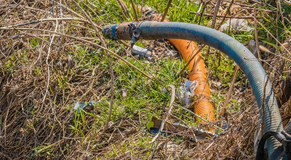 A discarded orange and blue hose lying amongst leaves and debris, in South Korea