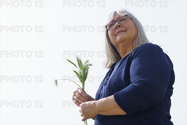 Older white haired woman in the field with ears of barley in her hands isolated on white background