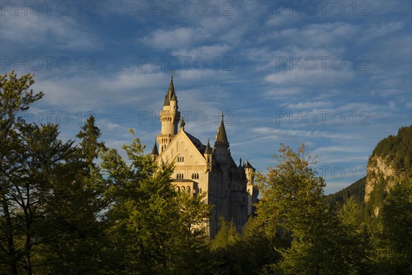 Neuschwanstein Castle, sunset, near Fuessen, Ostallgaeu, Allgaeu, Bavaria, Germany, Europe