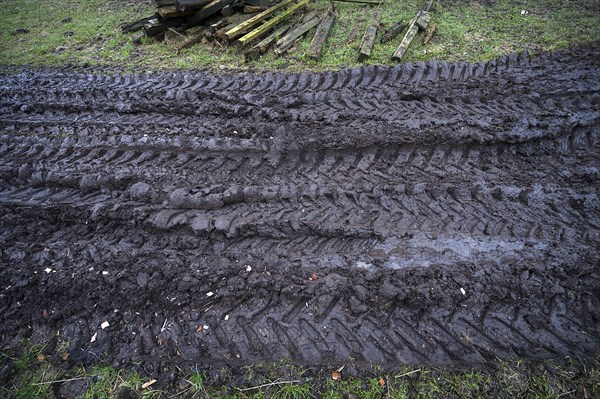 Tractor tracks on sodden ground on an estate, Othenstorf, Mecklenburg-Vorpommern, Germany, Europe