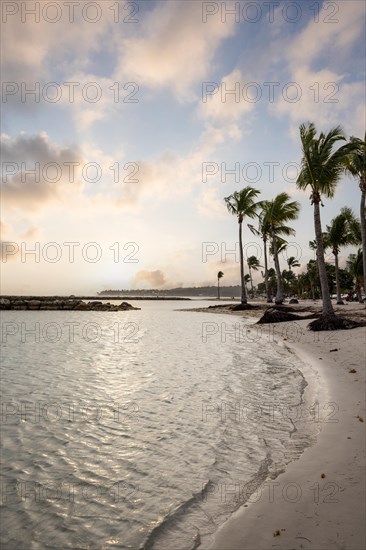 Caribbean dream beach with palm trees, white sandy beach and turquoise-coloured, crystal-clear water in the sea. Shallow bay at sunset. Plage de Sainte Anne, Grande Terre, Guadeloupe, French Antilles, North America