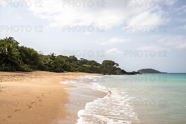 Lonely, wide sandy beach with turquoise-coloured sea. Tropical plants in a bay in the Caribbean sunshine. Plage de Cluny, Basse Terre, Guadeloupe, French Antilles, North America