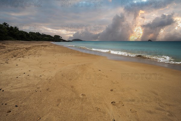 Lonely, wide sandy beach with turquoise-coloured sea. Tropical plants in a bay at sunset in the Caribbean. Plage de Cluny, Basse Terre, Guadeloupe, French Antilles, North America