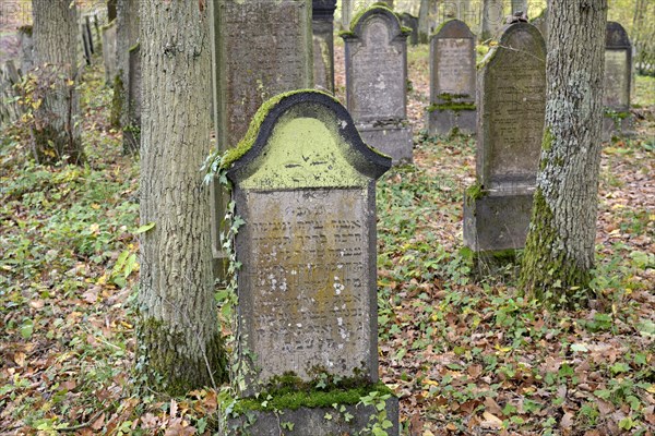 Jewish cemetery, weathered gravestones, wine village Beilstein, Moselle, Rhineland-Palatinate, Germany, Europe