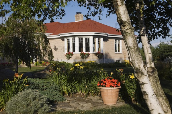 Tan brick with white trim home with landscaped front yard through Betula, Birch tree underplanted with orange and yellow Hemerocallis, Daylily and red Begonia flowers in terracotta planter in summer, Quebec, Canada, North America