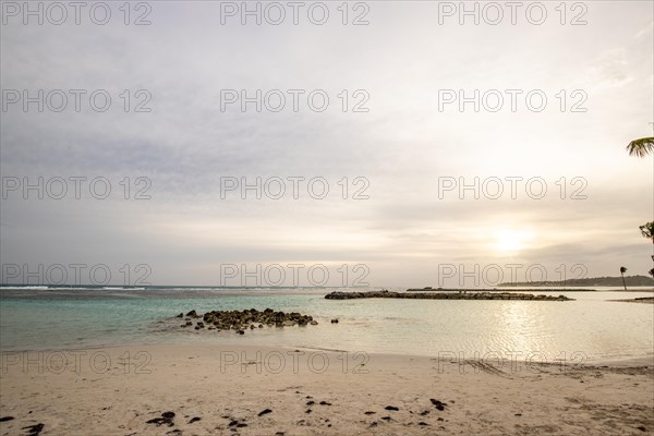 Caribbean dream beach with palm trees, white sandy beach and turquoise-coloured, crystal-clear water in the sea. Shallow bay at sunset. Plage de Sainte Anne, Grande Terre, Guadeloupe, French Antilles, North America