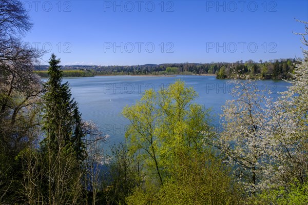 Lech reservoir, Apfeldorf am Lech, Pfaffenwinkel, Upper Bavaria, Bavaria, Germany, Europe