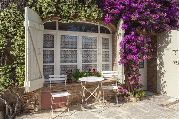 Window with climbing bougainvilleas in one of the typical alleyways, Grimaud-Village, Var, Provence-Alpes-Cote d'Azur, France, Europe