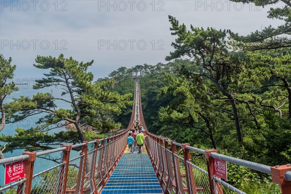 Tourists exploring a scenic suspension bridge amid coastal greenery on a sunny day, in Ulsan, South Korea, Asia