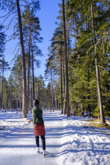 Ice skater, ice path through the forest, Sur En, Sent near Scuol, Engadin, Switzerland, Europe