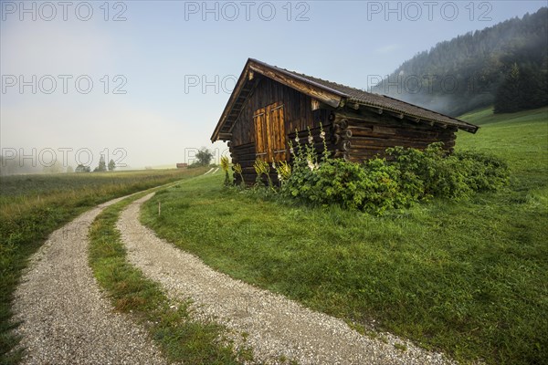 Sunrise and morning fog, Geroldsee or Wagenbruechsee, Kruen near Mittenwald, Werdenfelser Land, Upper Bavaria, Bavaria, Germany, Europe