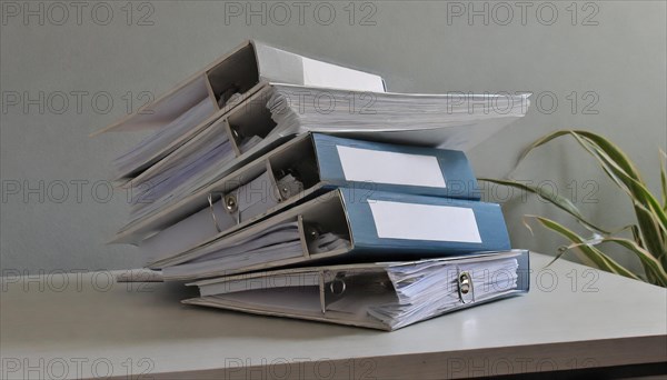 Many bundled and organised papers on a desk in front of a plant, symbolism bureaucracy, AI generated, AI generated