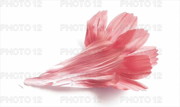 A lone brush stroke creating a chamomile petal. Pastel pink paint stroke and pink flower on white background AI generated