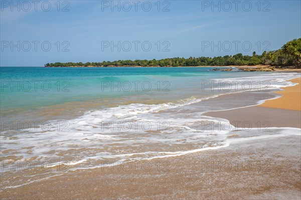 Lonely, wide sandy beach with turquoise-coloured sea. Tropical plants in a bay in the Caribbean sunshine. Plage de Cluny, Basse Terre, Guadeloupe, French Antilles, North America