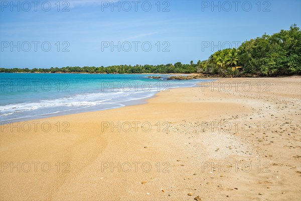 Lonely, wide sandy beach with turquoise-coloured sea. Tropical plants in a bay in the Caribbean sunshine. Plage de Cluny, Basse Terre, Guadeloupe, French Antilles, North America