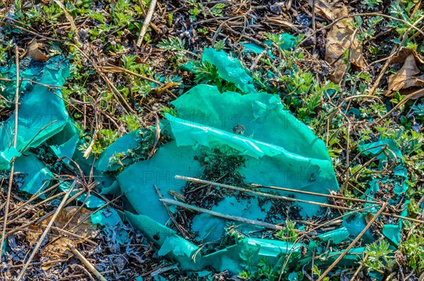 Vibrant green torn plastic pieces scattered over ground and leaves, in South Korea