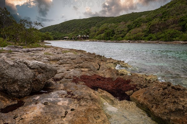 Rocky coast, long bay by the sea at sunset. Dangerous view of the Caribbean Sea. Tropical climate on a cloudy day in La Porte d'Enfer, Grande Terre, Guadeloupe, French Antilles, North America