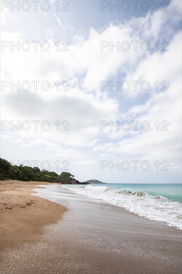 Lonely, wide sandy beach with turquoise-coloured sea. Tropical plants in a bay in the Caribbean sunshine. Plage de Cluny, Basse Terre, Guadeloupe, French Antilles, North America