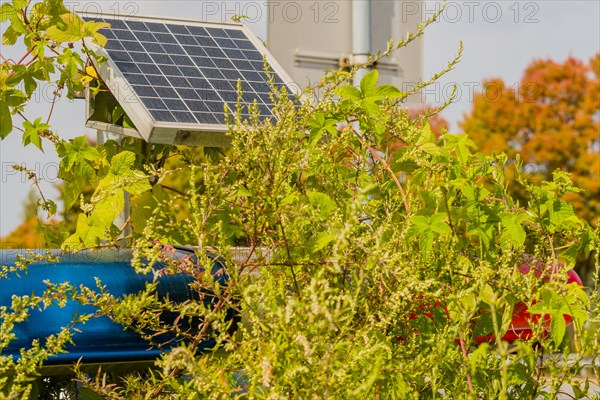 Closeup of small solar panel attached to metal support frame used to power police lights hidden by overgrown bushes in Daejeon, South Korea, Asia