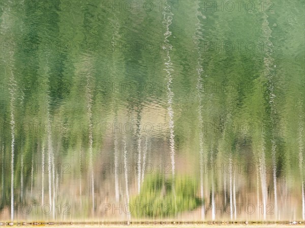 Trees reflected in a body of water, near Tragoess, Styria, Austria, Europe