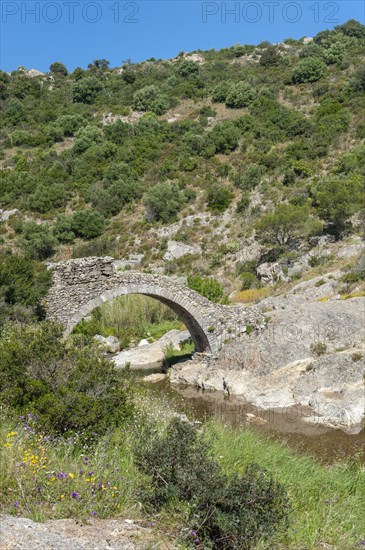 Historic arch bridge Le Pont des Fees over the river La Garde, Grimaud-Village, Var, Provence-Alpes-Cote d'Azur, France, Europe