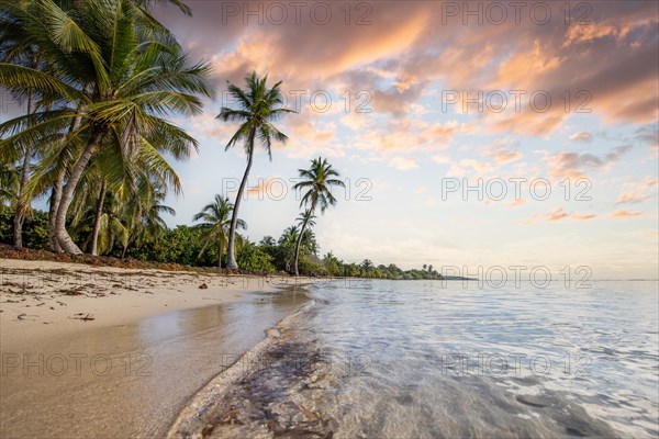 Romantic Caribbean sandy beach with palm trees, turquoise-coloured sea. Morning landscape shot at sunrise in Plage de Bois Jolan, Guadeloupe, French Antilles, North America