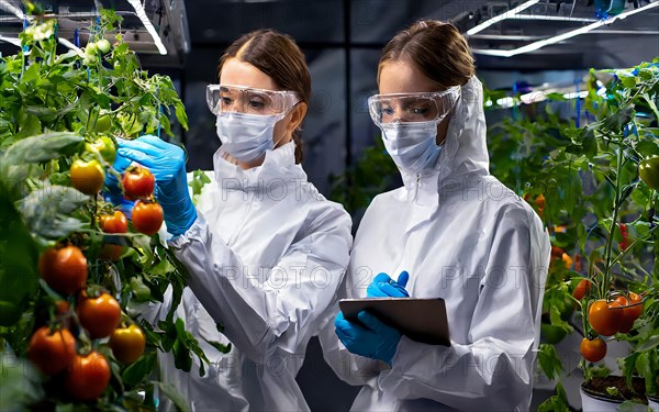 Biologists in protective suits grow vegetables in the lab, the concept of biotechnology, plant care and protection against diseases, organic food production, AI generated, AI generated