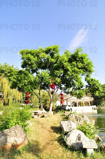 Zhu family garden, yunnan, china