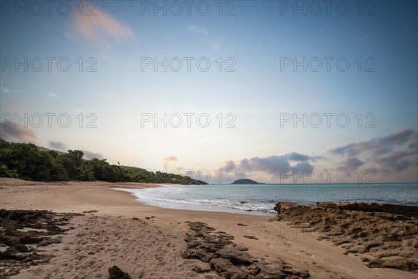 Lonely, wide sandy beach with turquoise-coloured sea. Tropical plants in a bay at sunset in the Caribbean. Plage de Cluny, Basse Terre, Guadeloupe, French Antilles, North America