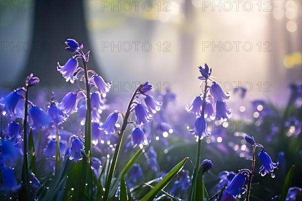 Early morning mist caresses a field of dew kissed bluebells, AI generated