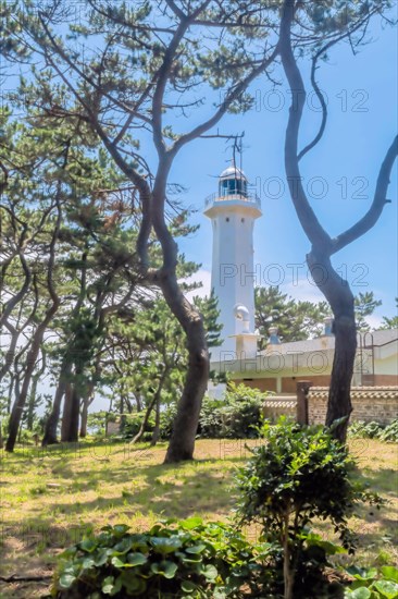 A white lighthouse stands tall amidst green foliage against a bright blue sky, in Ulsan, South Korea, Asia