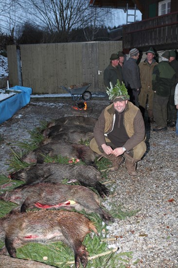 Wild boar (Sus scrofa) end of the hunt, hunter, shooting king with 7 killed sows, tradition, Allgaeu, Bavaria, Germany, Europe