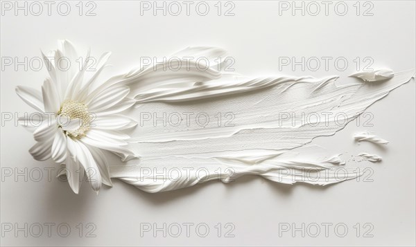 White paint brush stroke and white daisy flower on while background AI generated