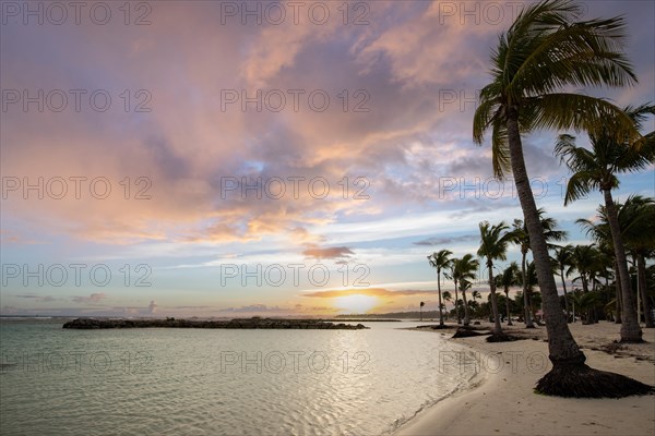 Caribbean dream beach with palm trees, white sandy beach and turquoise-coloured, crystal-clear water in the sea. Shallow bay at sunset. Plage de Sainte Anne, Grande Terre, Guadeloupe, French Antilles, North America