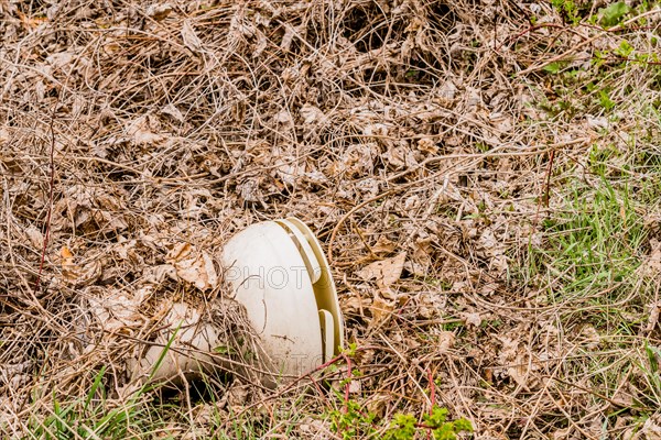 A discarded white helmet seen among fallen leaves and natural debris, in South Korea