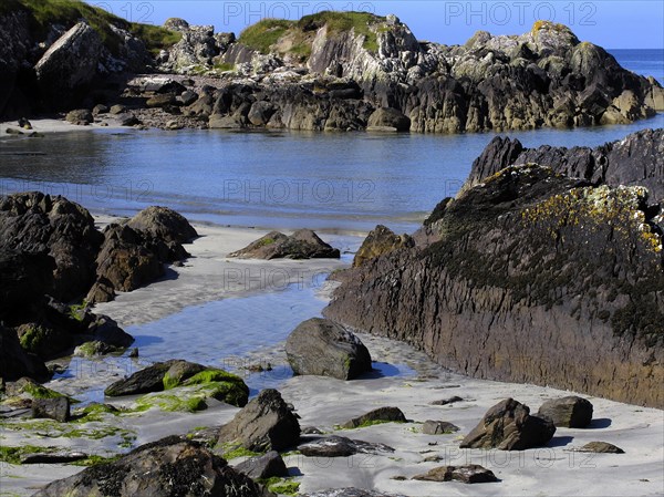 A tranquil coastal landscape with beach, rocks and seaweed under a blue sky Ireland