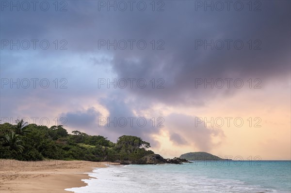 Lonely, wide sandy beach with turquoise-coloured sea. Tropical plants in a bay at sunset in the Caribbean. Plage de Cluny, Basse Terre, Guadeloupe, French Antilles, North America