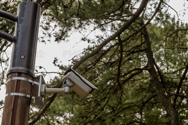 Surveillance camera in woodland public park with trees in background in South Korea