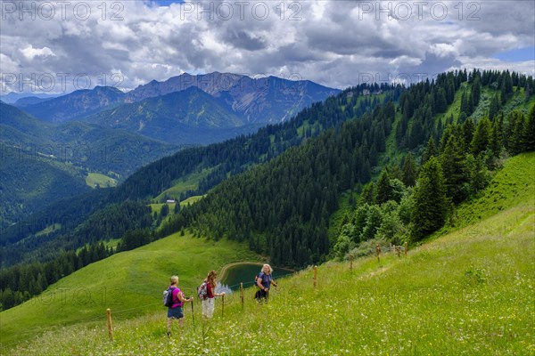 Hiker on the Rosskopf, Rosskopf, Spitzingsee area, Bavarian local mountains, Alps, Upper Bavaria, Bavaria, Germany, Europe
