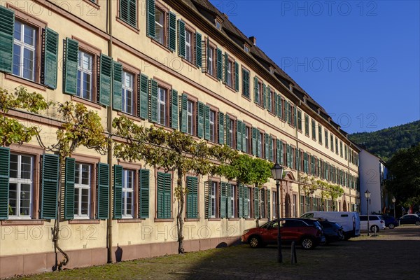 Amorbach Monastery, Mainfranken, Lower Franconia, Franconia, Bavaria, Germany, Europe